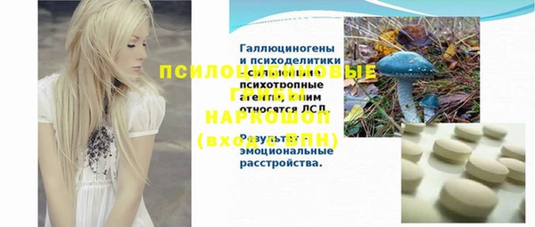 стаф Медвежьегорск