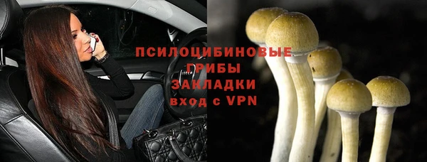 ECSTASY Михайловка