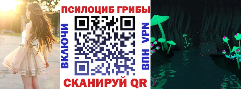 Купить где  Михайлов  Галлюциногенные грибы мухоморы 